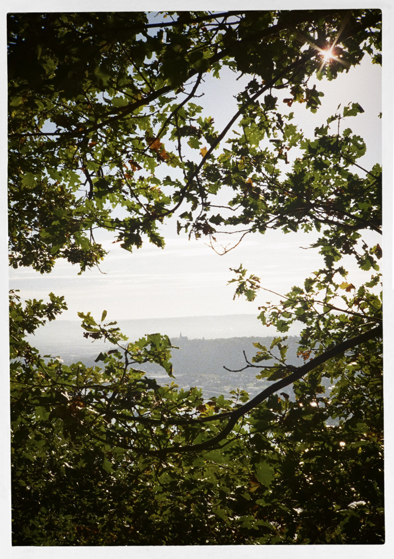 Aussicht_01