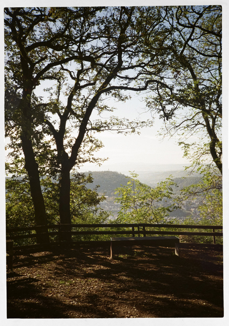 Aussicht_02