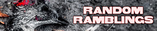 RandomRamblings_banner