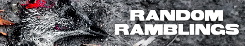 RandomRamblings_blog-banner